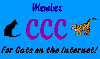 Cool Cats Club